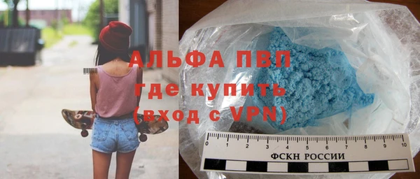 хмурый Дмитров