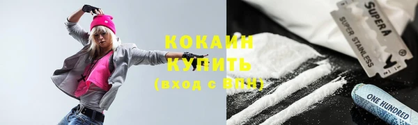 хмурый Дмитров