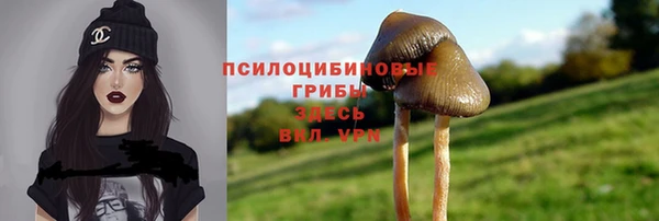 хмурый Дмитров