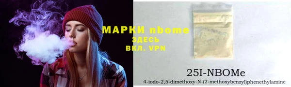хмурый Дмитров