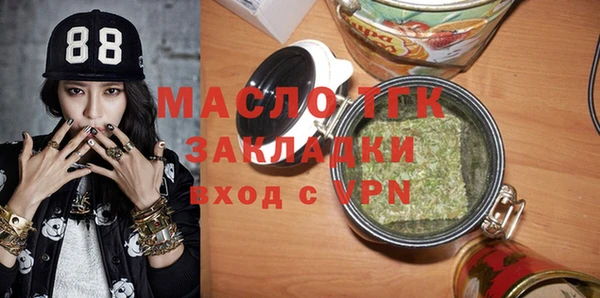хмурый Дмитров
