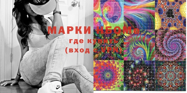 хмурый Дмитров
