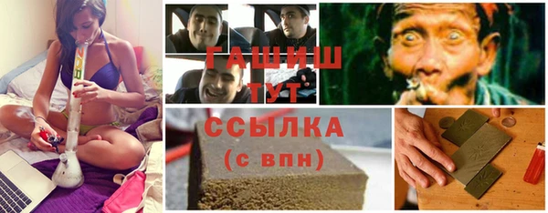 хмурый Дмитров