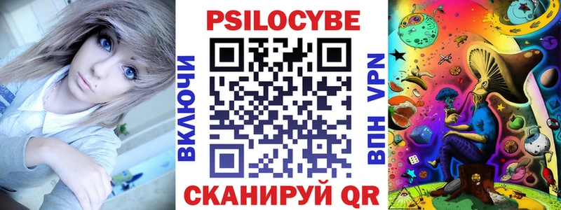 Галлюциногенные грибы Psilocybine cubensis  закладка  Камышлов 